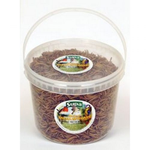 Supa Dried Mealworms 5L