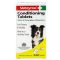 Vetzyme Conditioning Tablets (240Tabs)