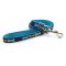 Ancol Blue Bone Lead 1mx19mm