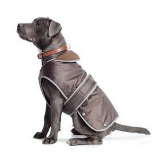 Ancol Stormguard Dog Coat Chest Protector Choc XLarge