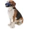 Pawise Muzzle with Net Insert Size 5