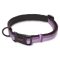 CoA Halti Collar Purple Large
