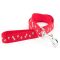 Ancol Nylon Paw N Bone Lead Red 19mmx1m
