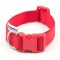 Ancol Nylon Adjustable Collar Red 20-30cm