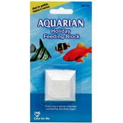 Aquarian Holiday Block