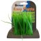 SuperFish Easy Plants Carpet Large