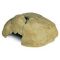 Exo Terra Natural Look Reptile Hiding Cave XLarge