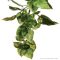 Exo Terra Terrarium Plant Amapallo Shrub Plastic Large