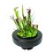 SuperFish Floating Plant Basket