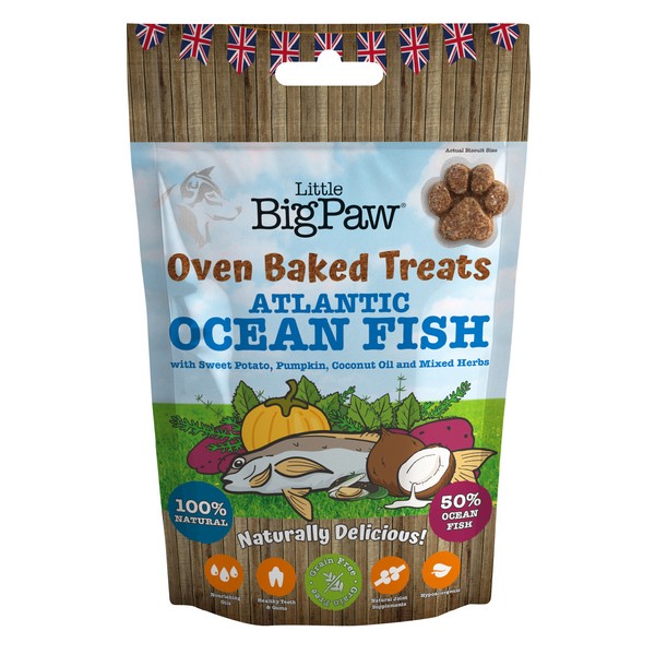 Little Big Paw Oven Baked Atlantic Ocean Fish Treat 130g