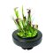 SuperFish Floating Planting Basket XL